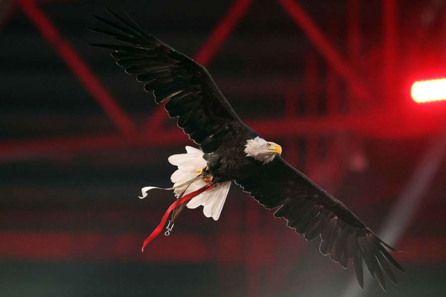Benfica já reagiu à interdição do Estádio da Luz Benfica já reagiu à interdição do Estádio da Luz