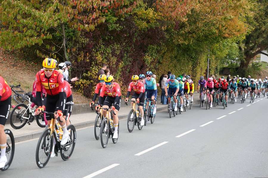 Das Peloton während des Münsterland Giros