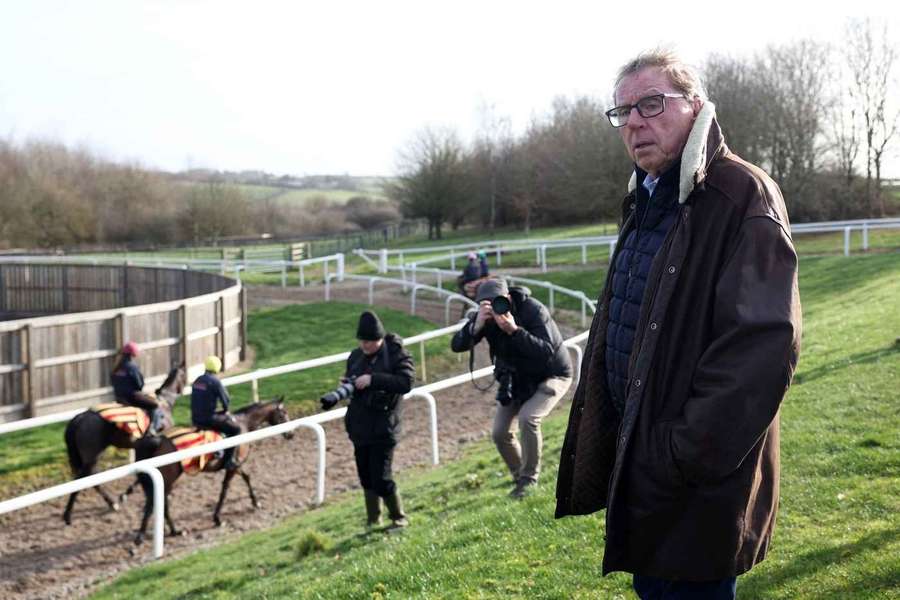 Redknapp has a horse running at Cheltenham