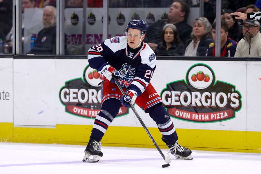 Sýkora pomohol Hartfordu dvomi bodmi. Sýkora pomohol Hartfordu dvomi bodmi.