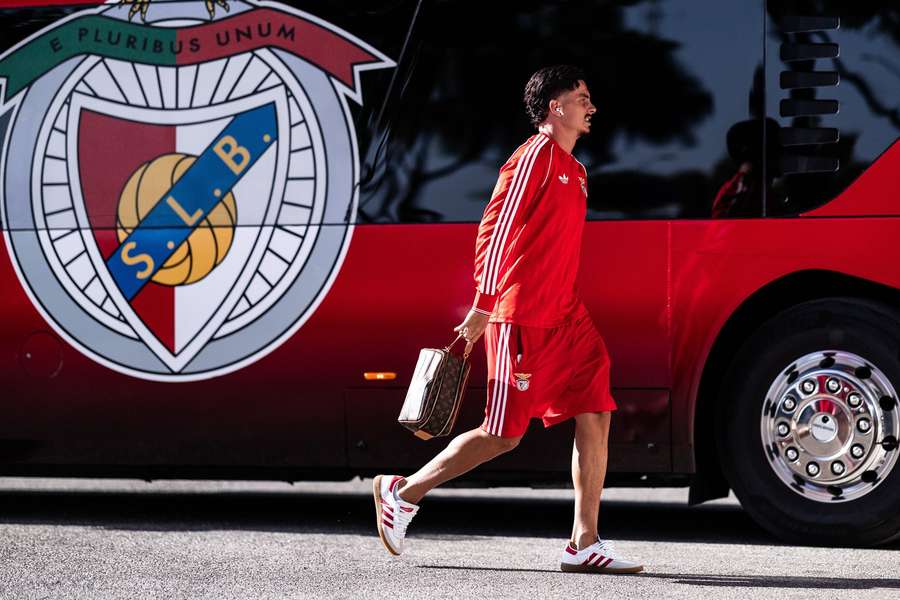 Franjo Ivanovic está de saída do Benfica Franjo Ivanovic está de saída do Benfica