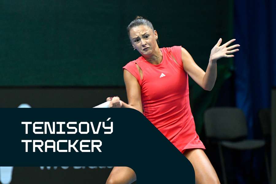 Kužmová vyhrala turnaj v Sheffielde.