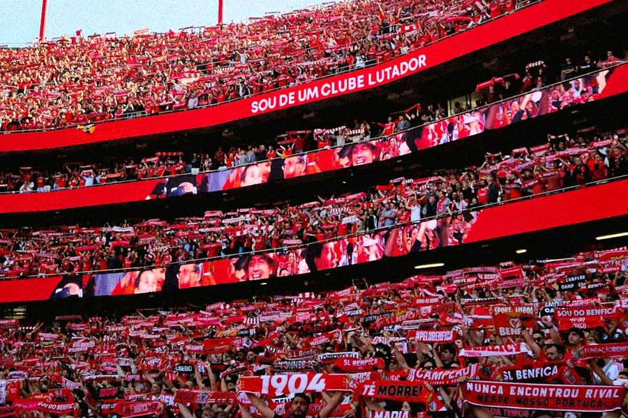 Estádio da Luz está interdito