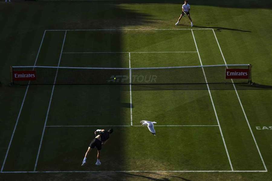 Tenis Flash: Dziś ostatnie finały przed Wimbledonem
