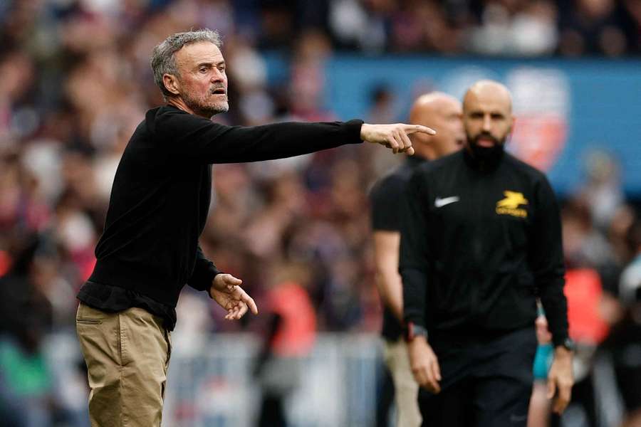 Luis Enrique, tecnico del Psg