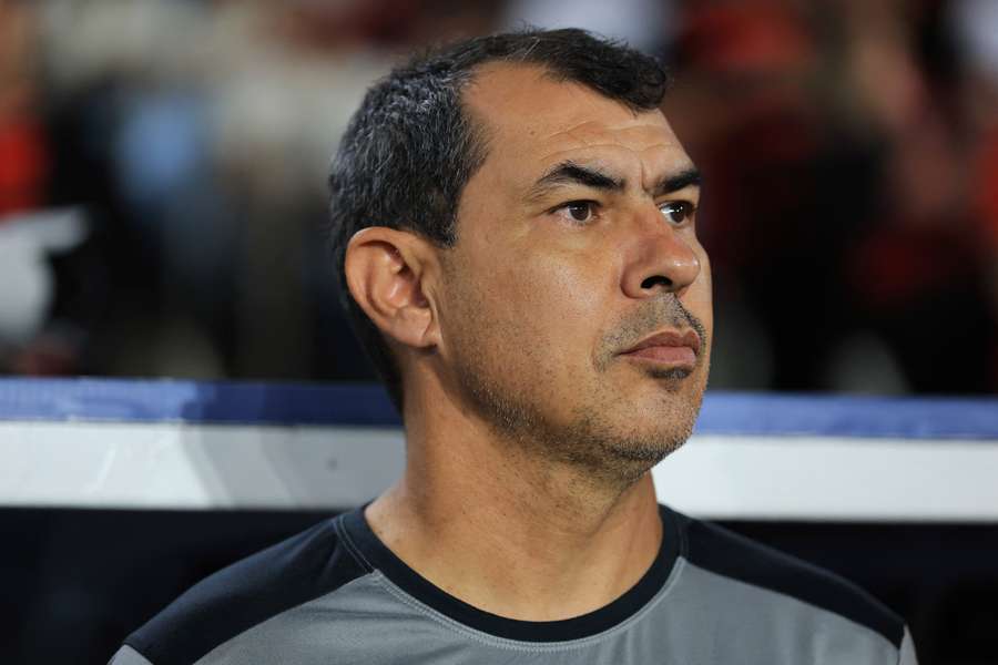 Fabio Carille foi campeão da última Série B com o Santos
