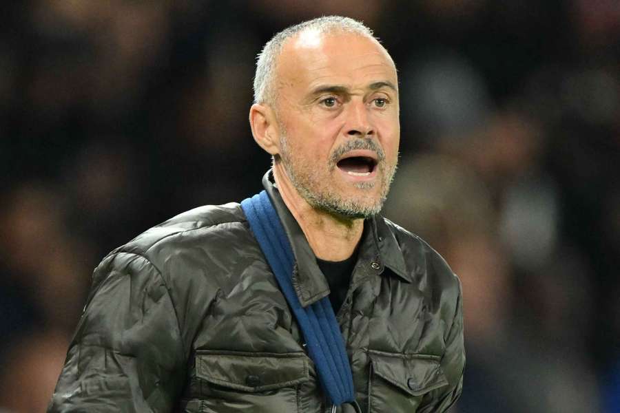 Luis Enrique lors de la rencontre face à Auxerre au Parc des Princes. 