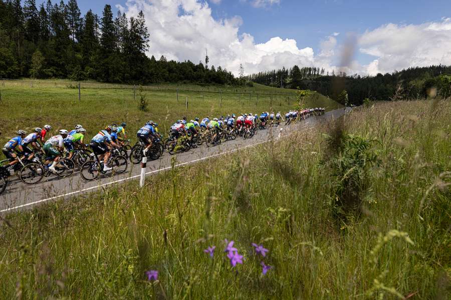The peloton rolling through the Czech countryside