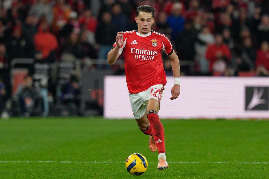 Newcastle negoceia contratação de Amar Dedic com o Benfica Newcastle negoceia contratação de Amar Dedic com o Benfica