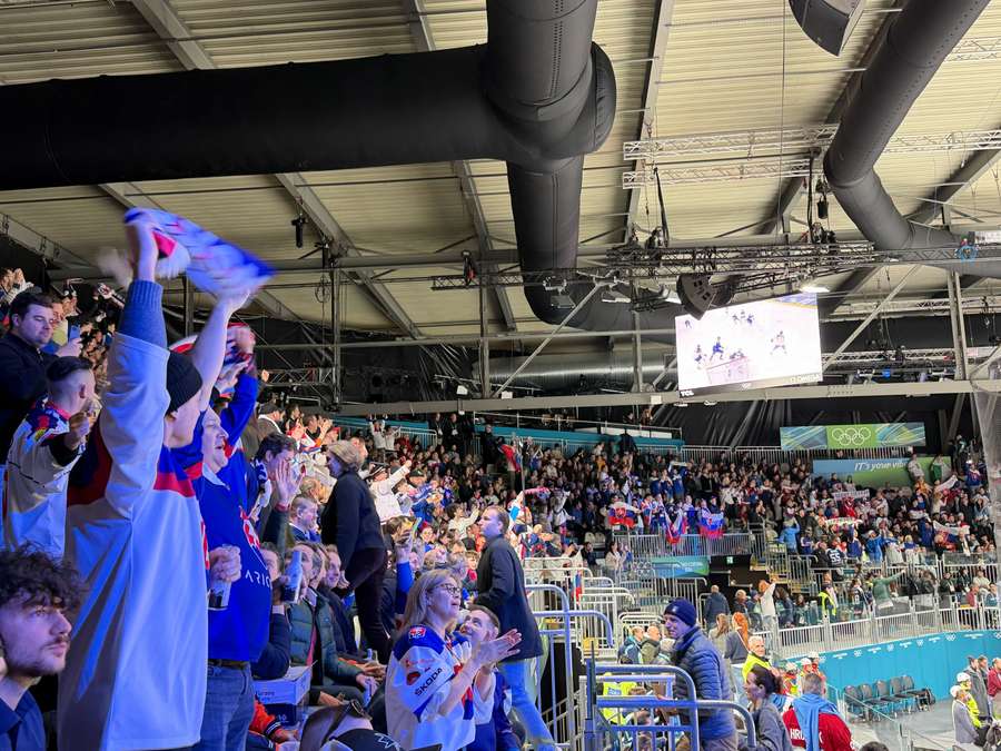 Radosť fanúšikov po prvom góle Slovenska.