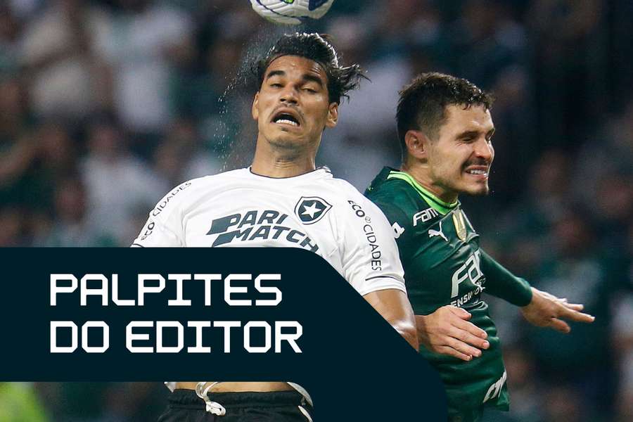 Botafogo e Palmeiras brigam na parte de cima da tabela