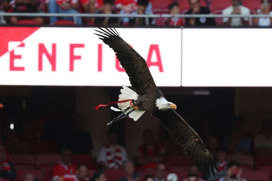 Benfica SAD acusada dos crimes de corrupção ativa e fraude fiscal