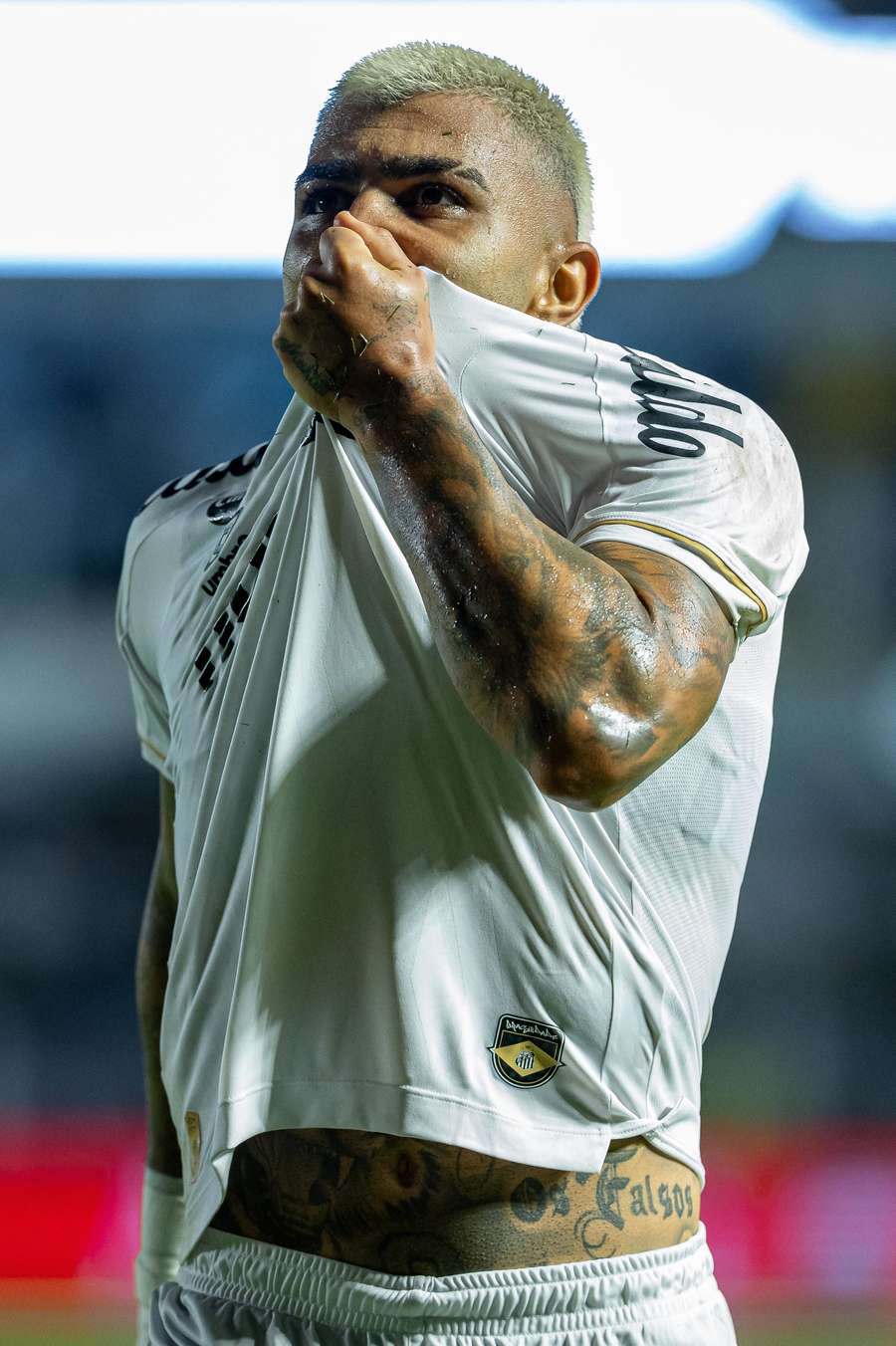 Gabriel Barbosa beija o escudo do Santos
