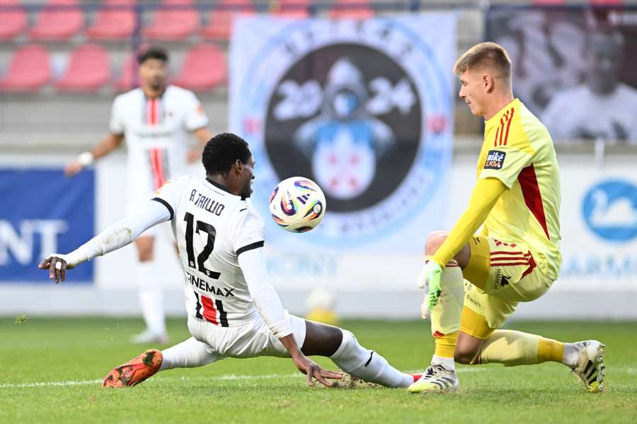 Ťapaj na slovenských trávnikoch dochytal.