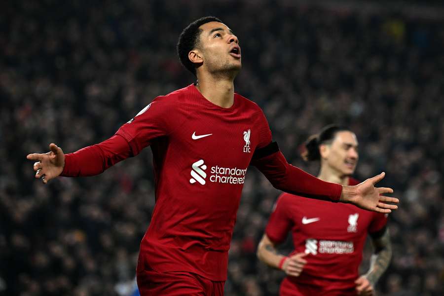 Cody Gakpo marcou seu primeiro gol com a camisa do Liverpool