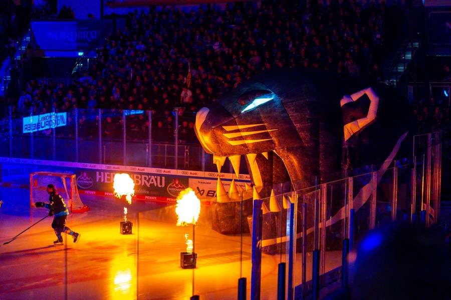 Die Eisbären mit einer Willensleistung.