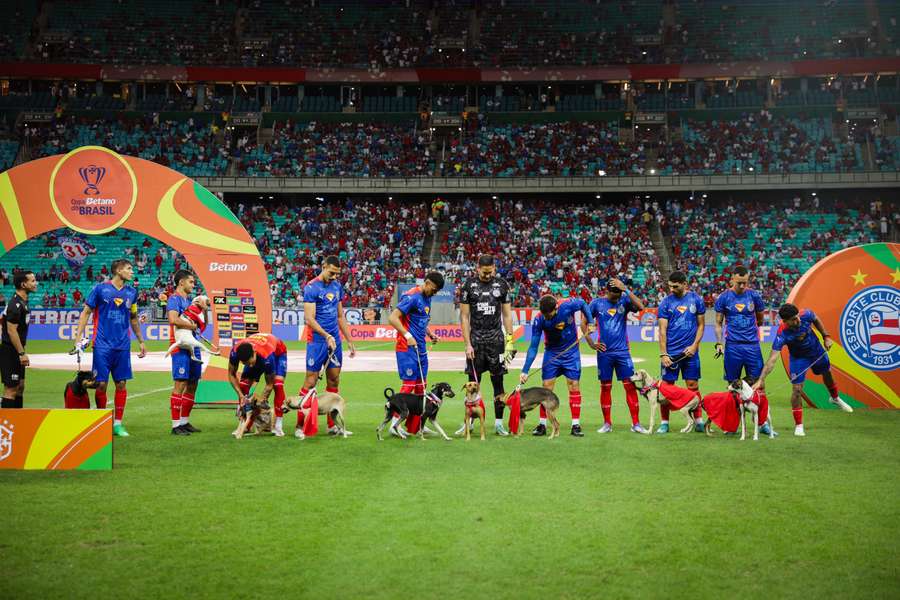 Bahia incentivou adoção de cachorros antes da partida