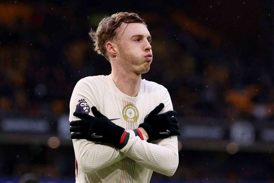 Meulensteen says Palmer would be an "outstanding" signing for Man Utd: He's a United fan! Meulensteen says Palmer would be an "outstanding" signing for Man Utd: He's a United fan!