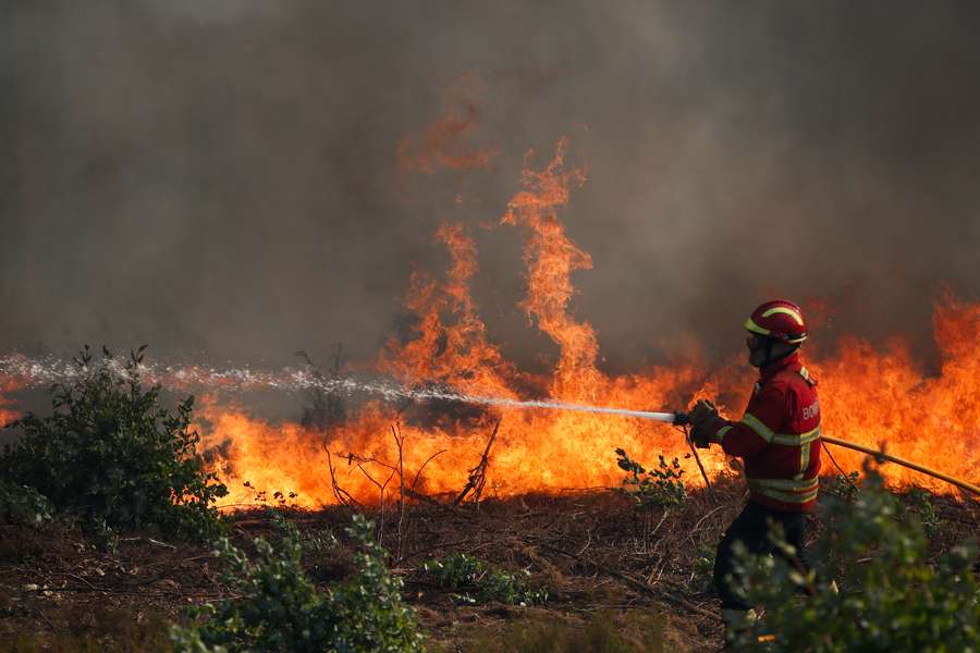 Un bombero lucha por controlar el fuego