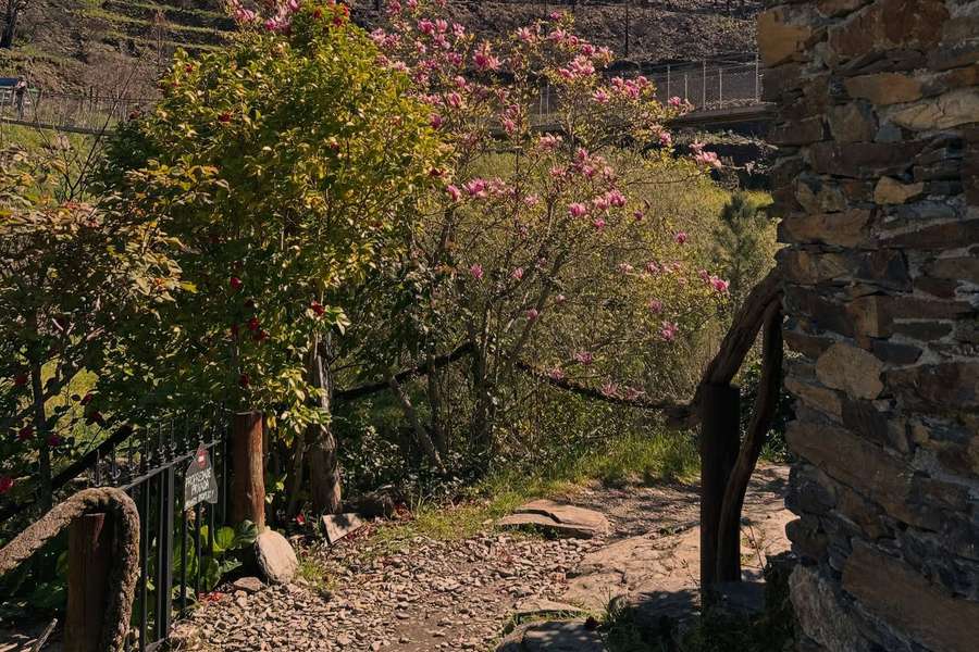 Oh Meu Deus, em Seia