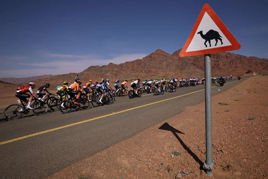 Selvom risikoen jævnfør vejskiltene lurede, så slap feltets ryttere altså for at styre udenom vildfarne kameler på tirsdagens etape af Saudi Tour.