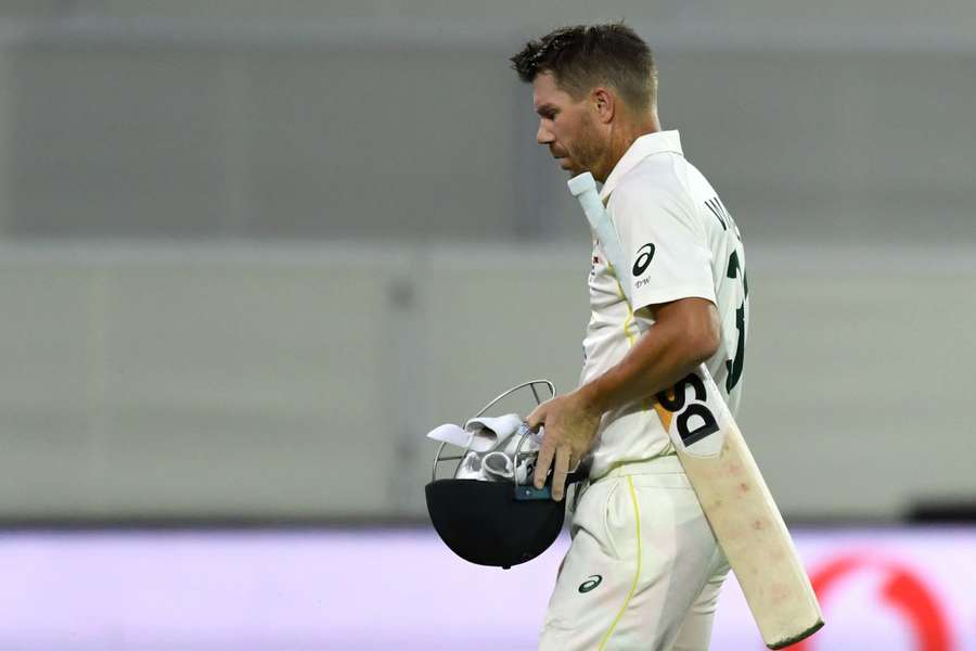 David Warner walks off after being dismissed in the last Ashes series