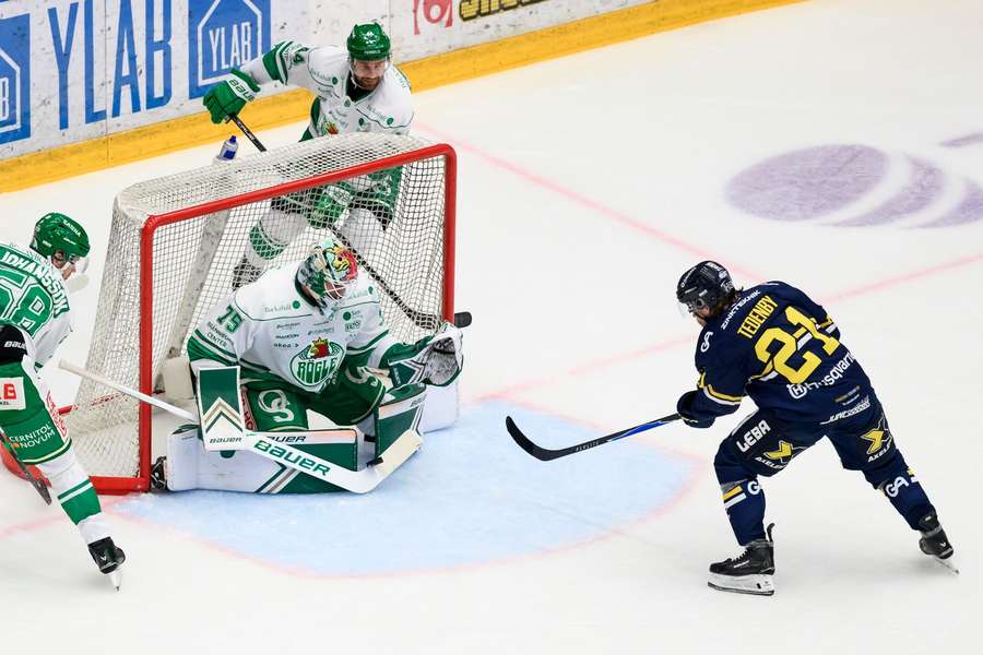 Arvid Holm made 30 saves in Rogle's 5-0 win over HV 71