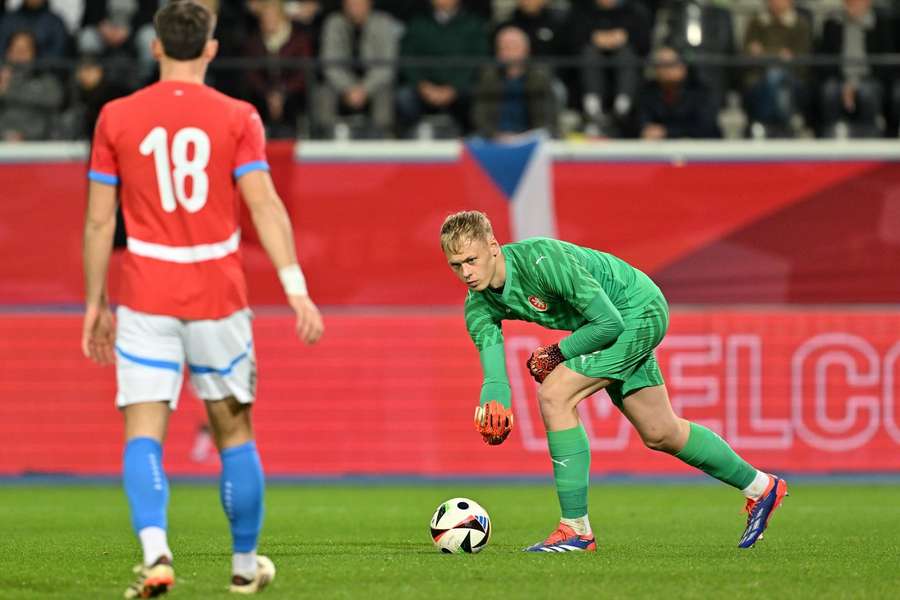 Chválu od expertů slyšel po duelu v Belgii brankář Lukáš Horníček.