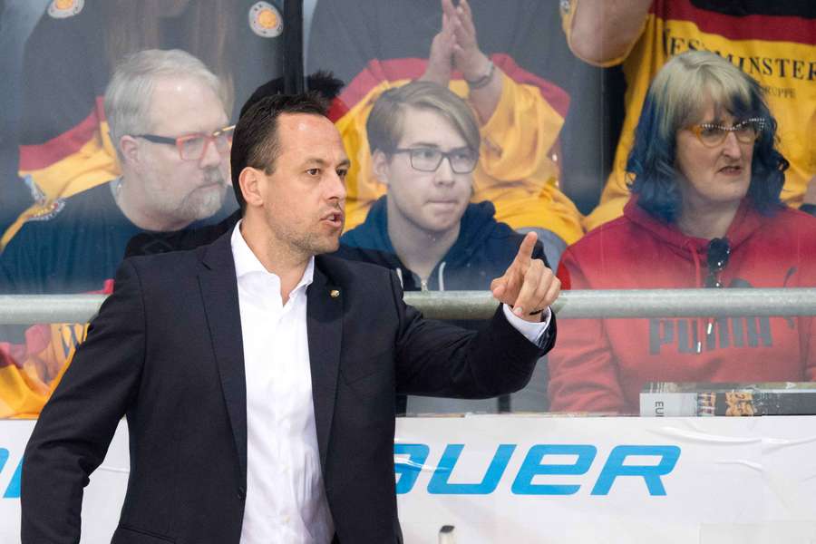 Marco Sturm is the new head coach of the Boston Bruins.