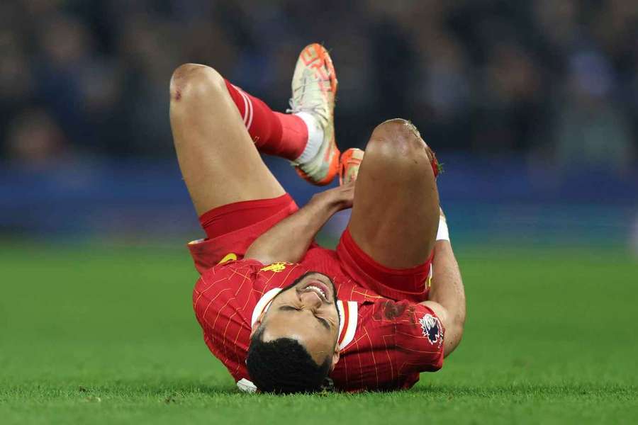 Cody Gakpo of Liverpool during the Premier League match at Goodison Park