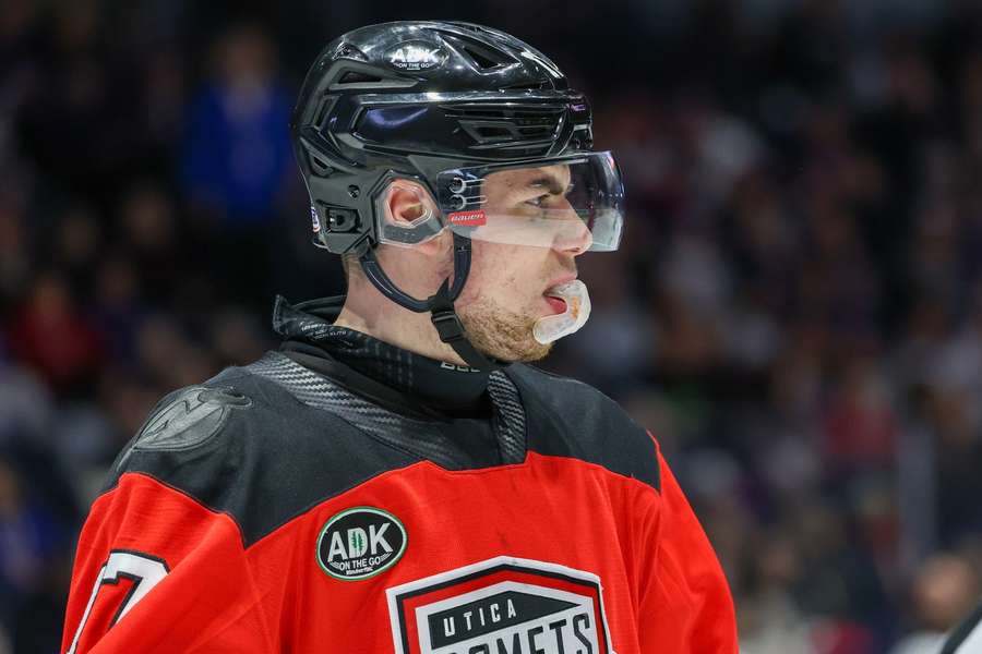 Nemec by najradšej hrával v NHL a nie iba AHL.