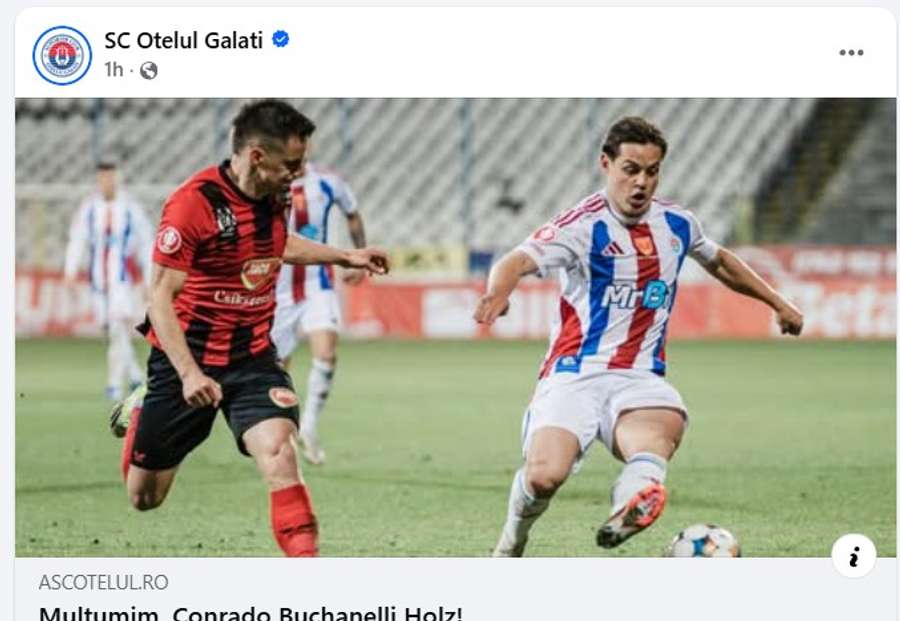 Conrado Buchanelli Holz Conrado Buchanelli Holz