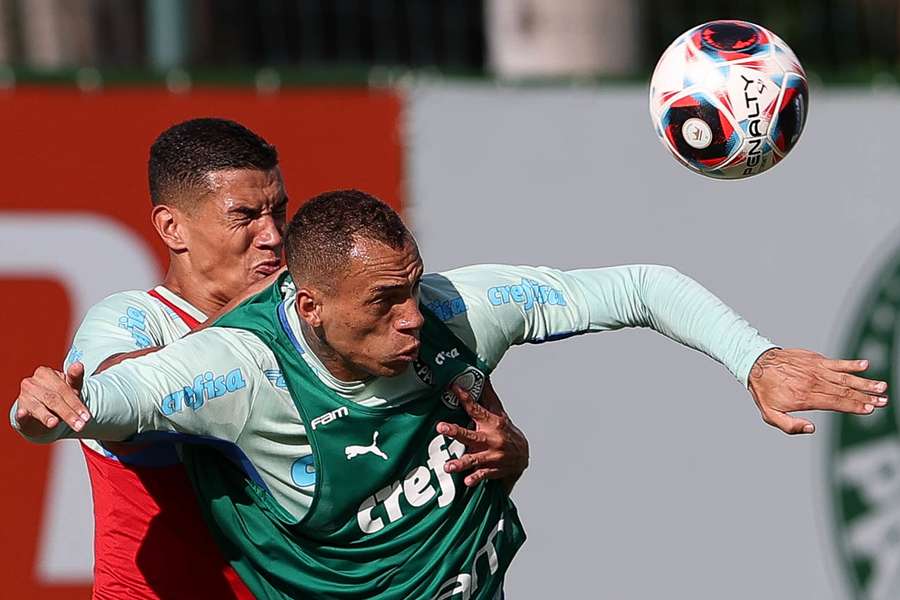Verdão deve escalar os titulares contra o Massa Bruta