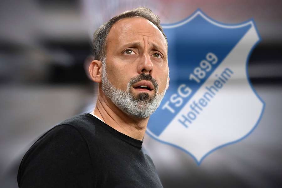 Nachfolger für entlassenen Breitenreiter: Matarazzo neuer Trainer der TSG Hoffenheim
