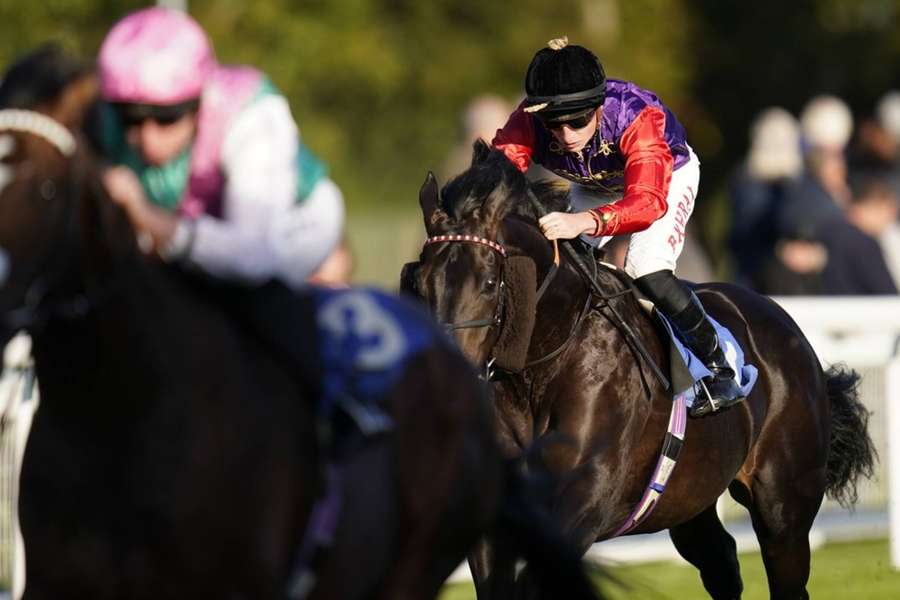 Educator and Tom Marquand in action during the Radcliffe & Co Handicap at Salisbury Racecourse.