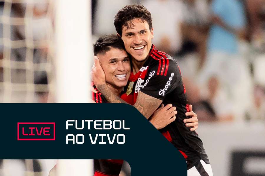 Pedro e Luiz Araújo marcaram em Botafogo 0x3 Flamengo
