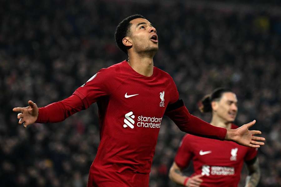 Cody Gakpo celebrates after doubling Liverpool's lead over Everton