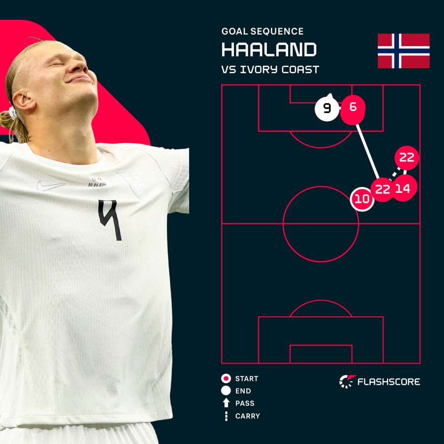 Haaland's winner for Norway