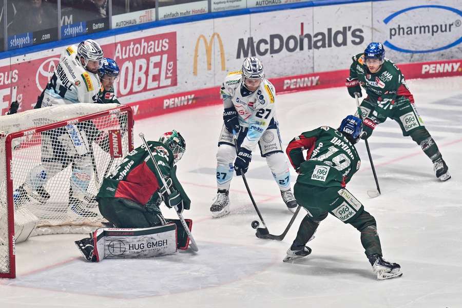 Dresden verkürzte den Rückstand auf den Vorletzten der Liga auf vier Punkte Dresden verkürzte den Rückstand auf den Vorletzten der Liga auf vier Punkte