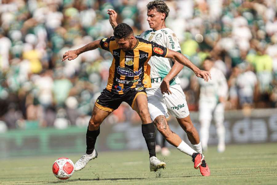 Novorizontino empatou com o Palmeiras em 1 a 1 na estreia do Paulistão 