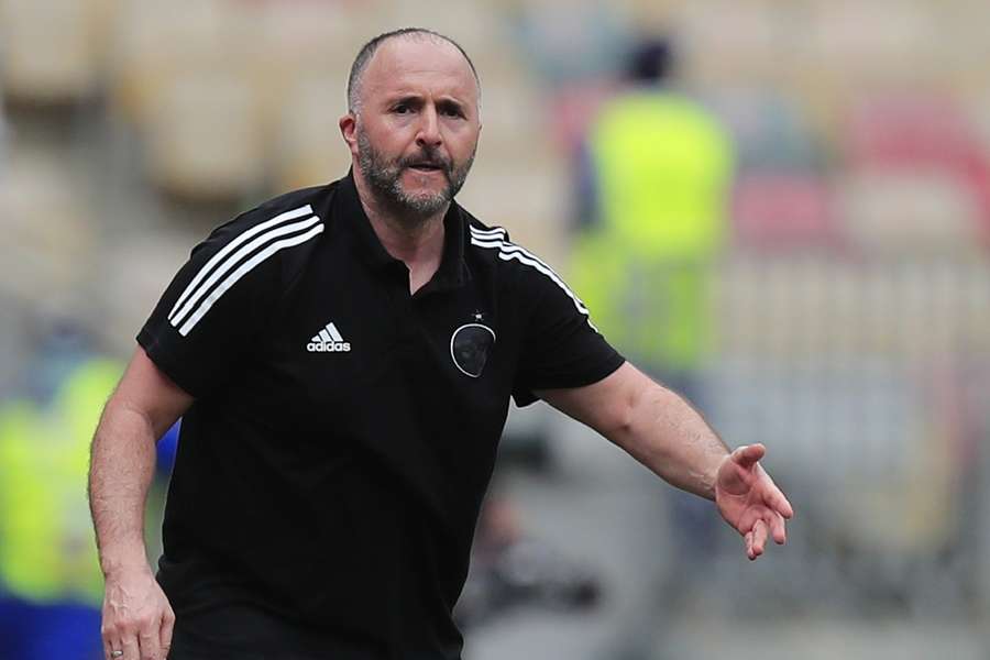 Algeria's coach Djamel Belmadi has reportedly quit
