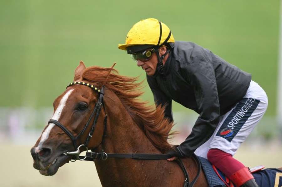 Three-time Gold Cup winner Stradivarius retired