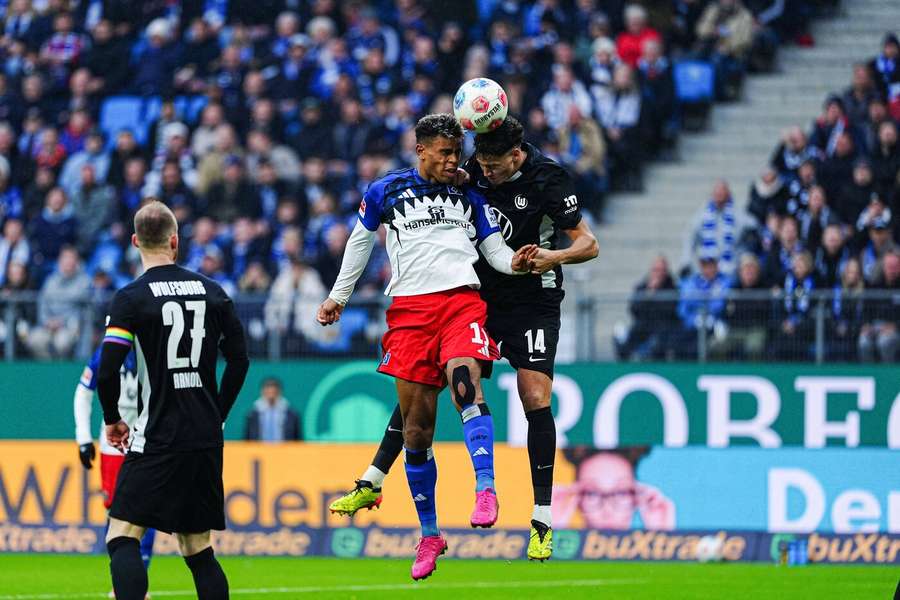 Dämpfer für den HSV Dämpfer für den HSV