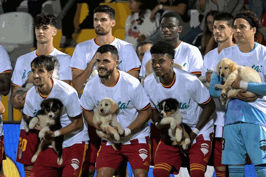 Jogadores do AVS com os cães de pequeno porte