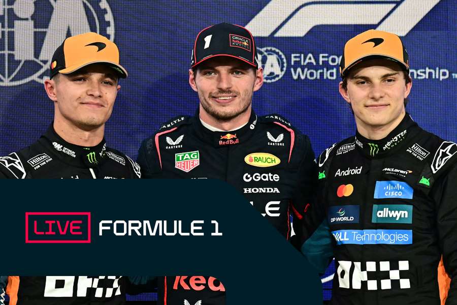 La grille de départ du Grand Prix d'Abu Dhabi, après les qualifications. La grille de départ du Grand Prix d'Abu Dhabi, après les qualifications.