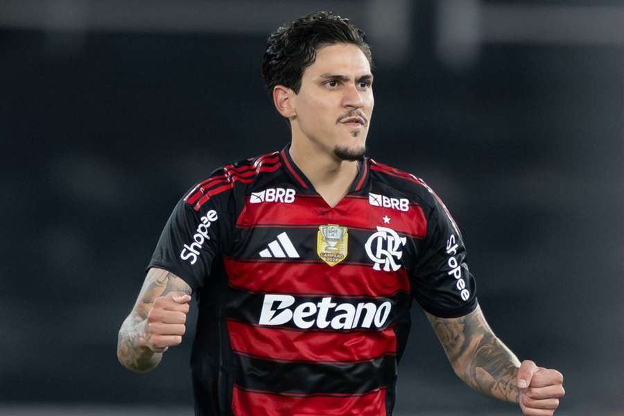 Pedro fez gol e deu assistência em Botafogo 0x3 Flamengo