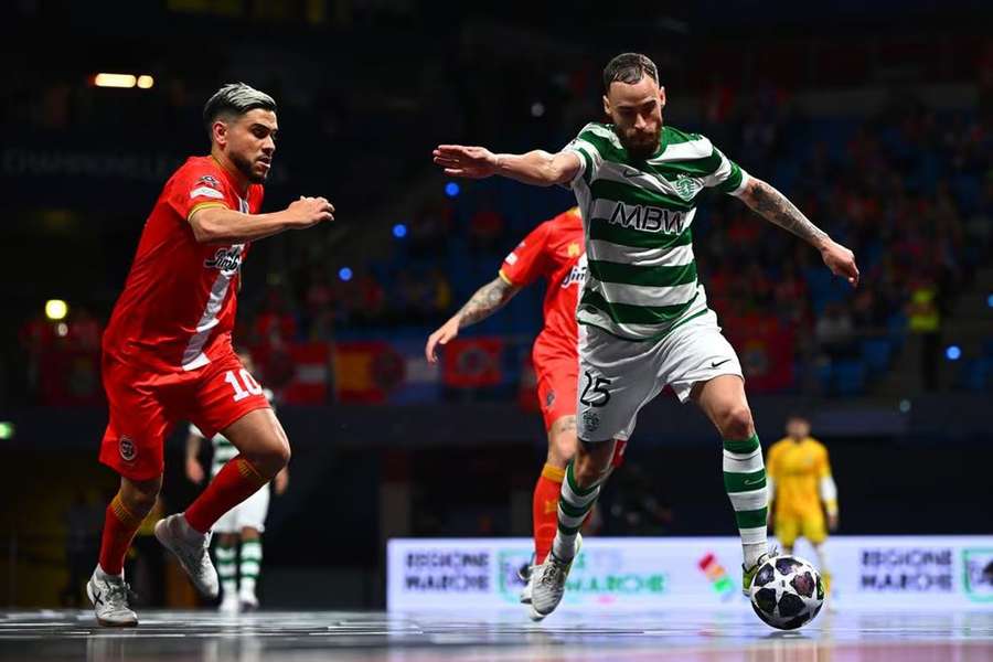 Bruno Pinto perante Francisco Cortés