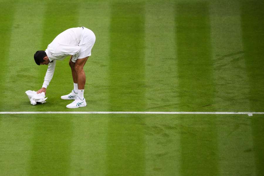 Novak Djokovic scherza mentre tenta di asciugare l'erba con un asciugamano