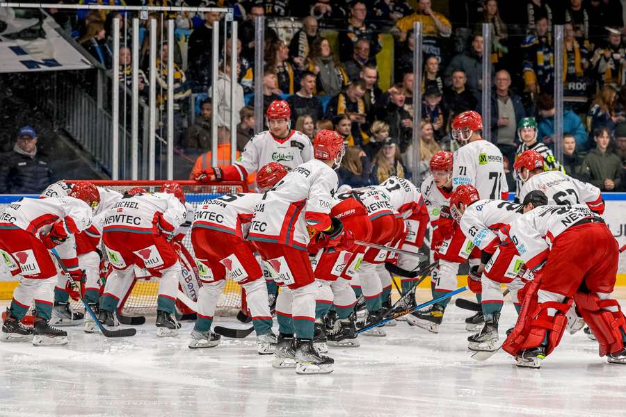 Odense Bulldogs er på få år, gået fra bunden til toppen af dansk ishockey