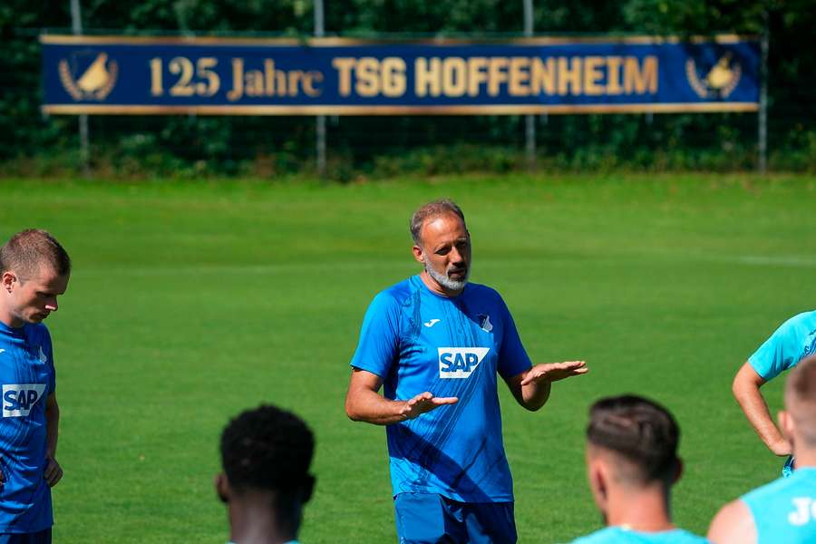 TSG-Trainer Matarazzo fordert Verstärkungen